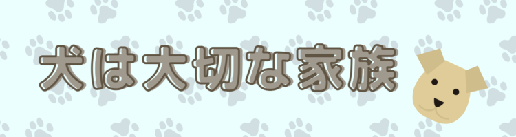 カワイイがいっぱい！ワンダーランド